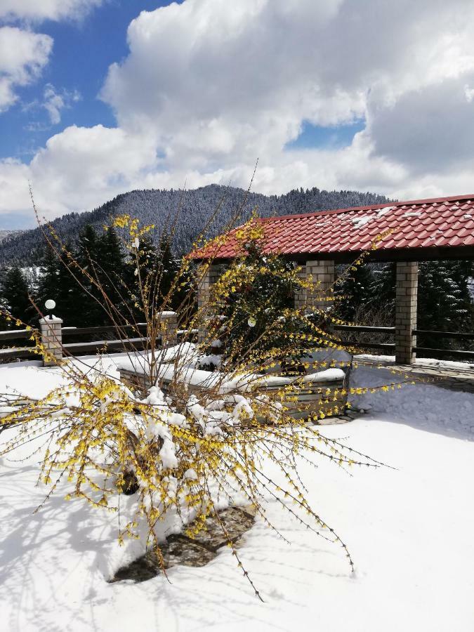 Ξενοδοχείο Μαγκιωση Neraïdochóri Exterior foto